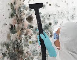 Why You Should Choose Our Mold Remediation Services in Urbandale, IA